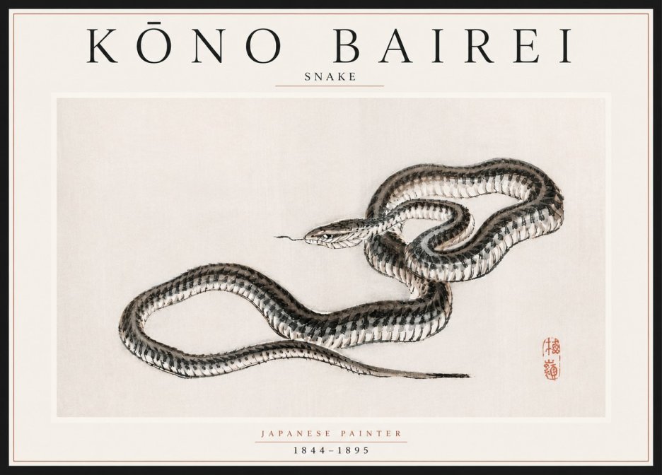 Kōno Bairei Snake No5 - Póster