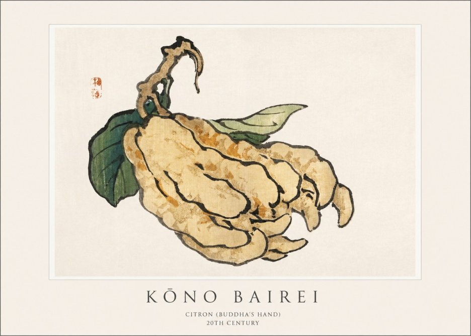 Kōno Bairei Citron (Buddha's Hand) No1 - Póster