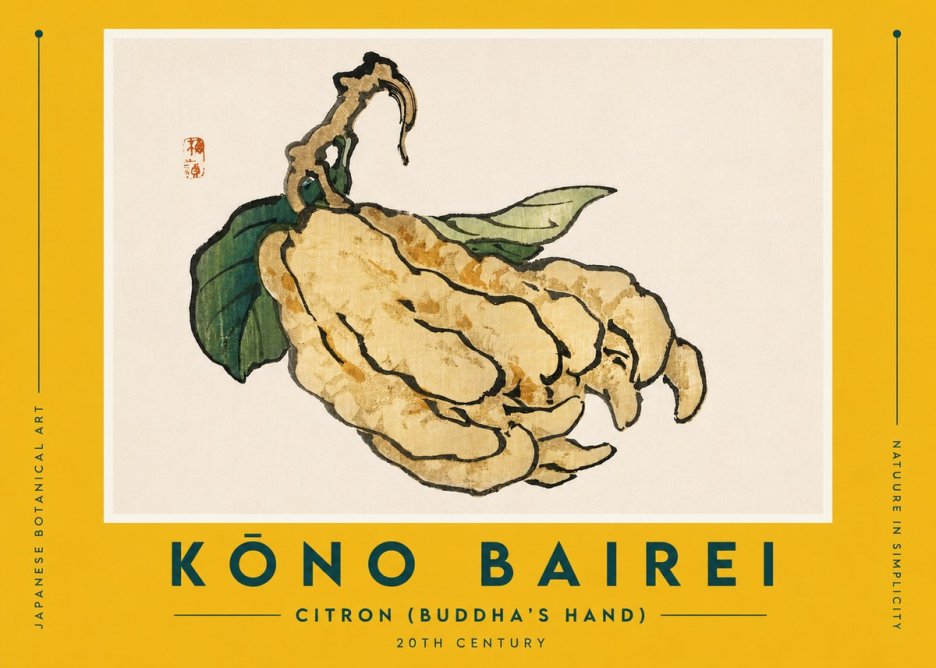 Kōno Bairei Citron (Buddha's Hand) No5 - Póster