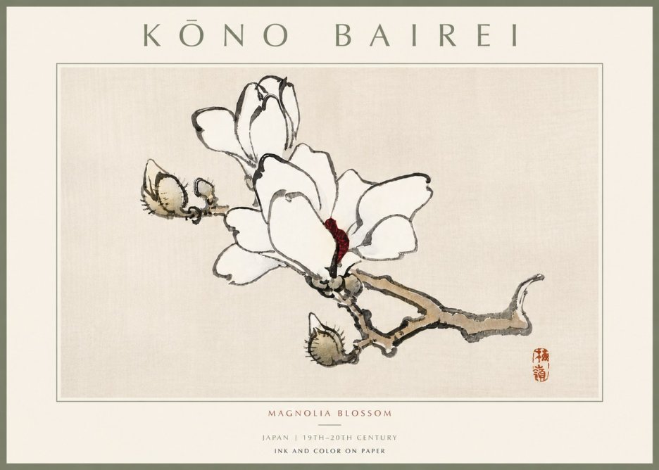 Kōno Bairei Magnolia Blossom No5 - Póster