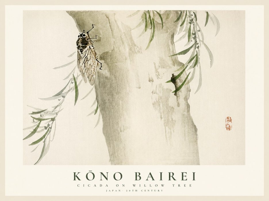 Kōno Bairei Cicada on Willow Tree No1 - Póster