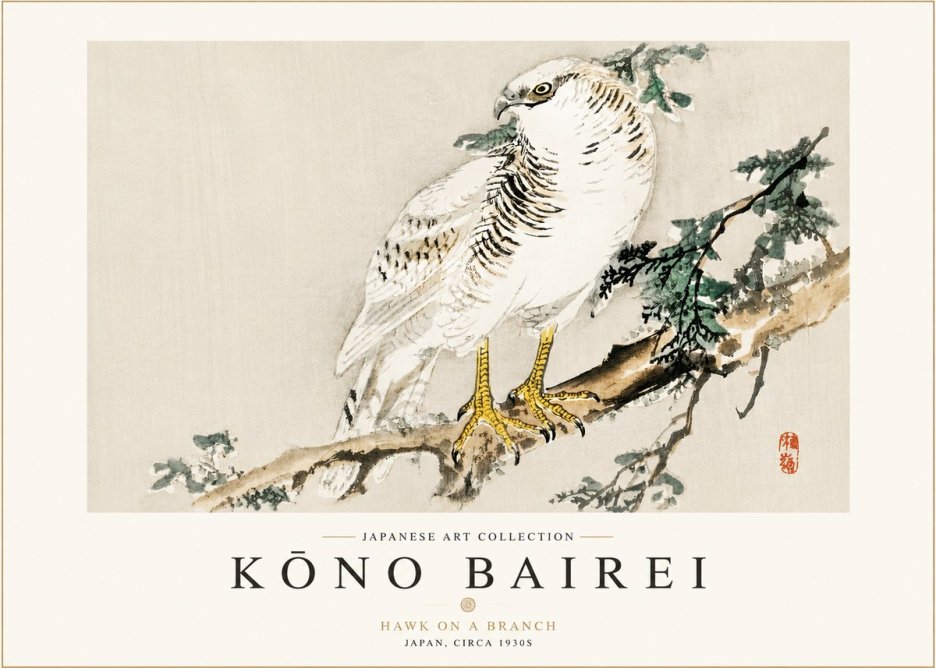 Kōno Bairei Hawk on a Branch No3 - Póster