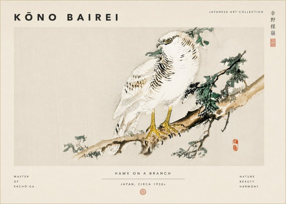 Kōno Bairei Hawk on a Branch No6 - Póster