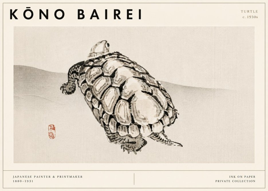Kōno Bairei Turtle No3 - Póster