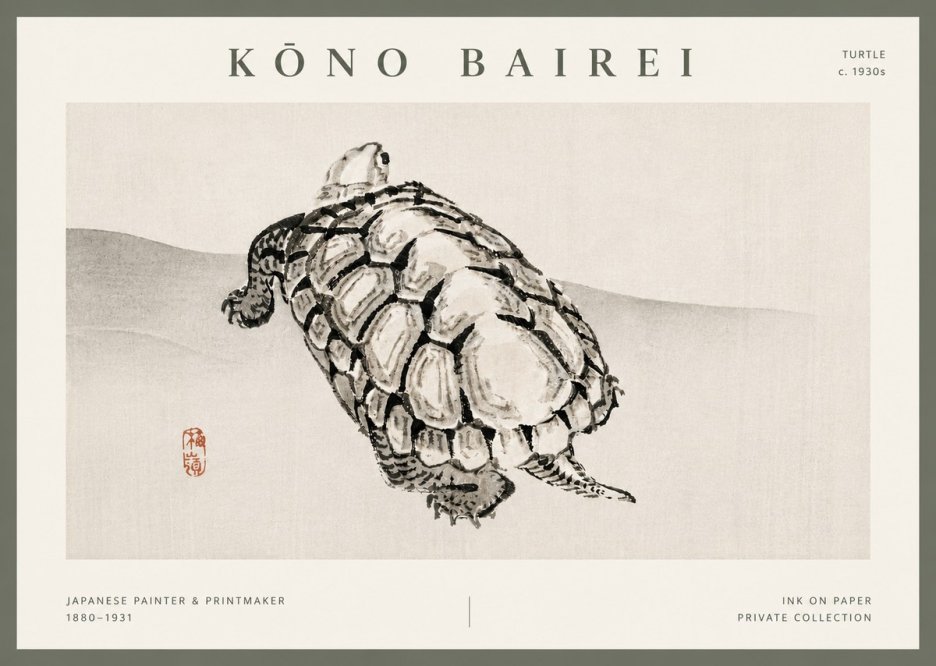 Kōno Bairei Turtle No5 - Póster