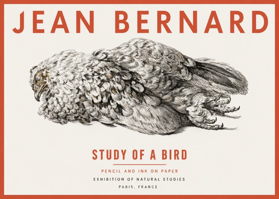 Jean Bernard Study of a Bird I No2 - Póster