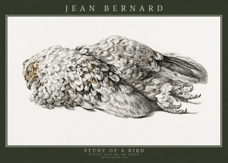 Jean Bernard Study of a Bird I No3 - Póster