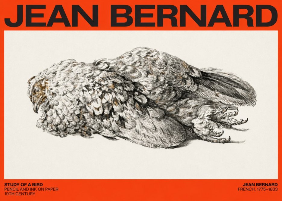 Jean Bernard Study of a Bird I No4 - Póster