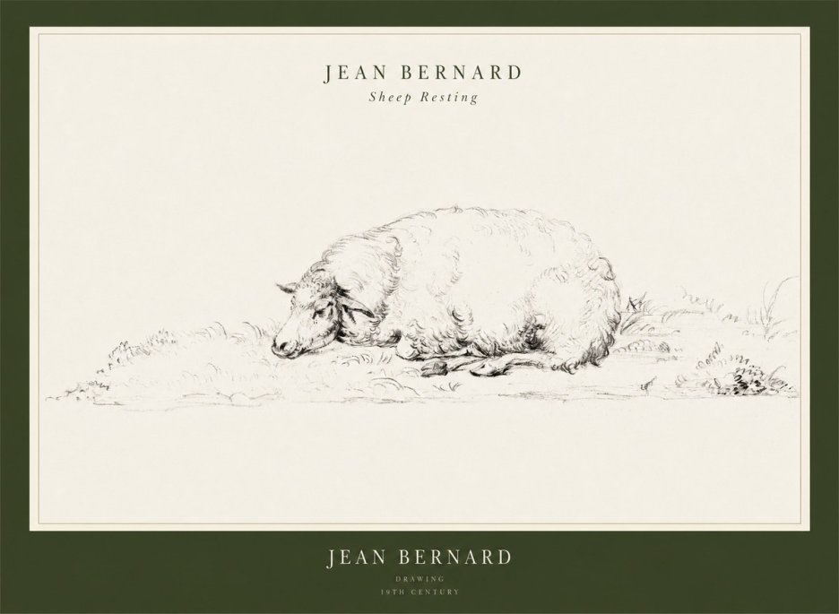 Jean Bernard Sheep Resting on the Ground No3 - Póster