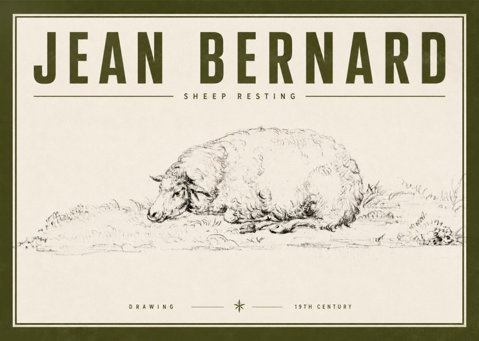 Jean Bernard Sheep Resting on the Ground No6 - Póster