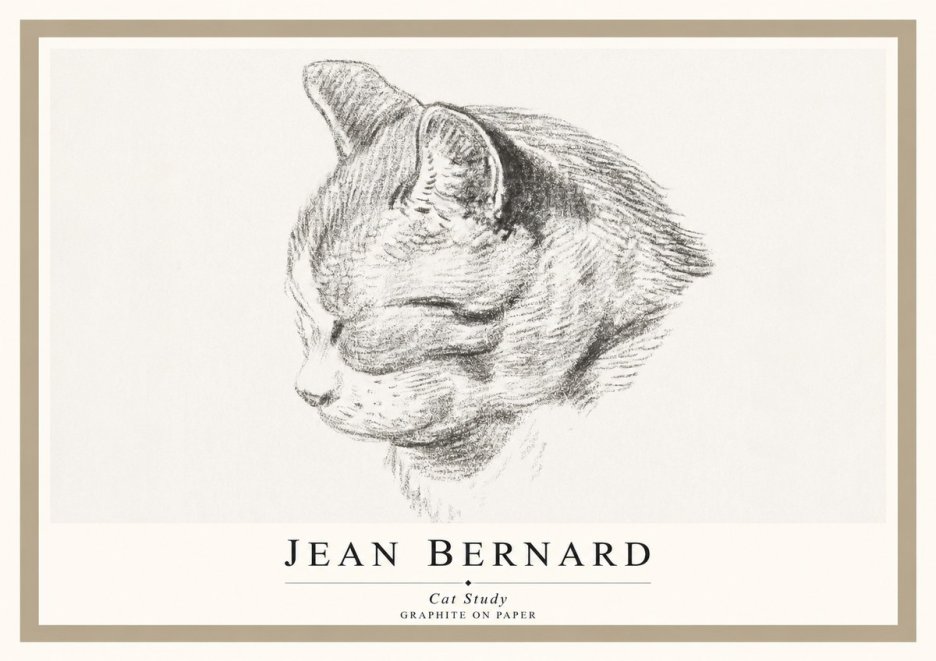 Jean Bernard Cat Study I No1 - Póster