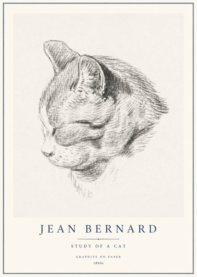 Jean Bernard Cat Study I No3 - Póster
