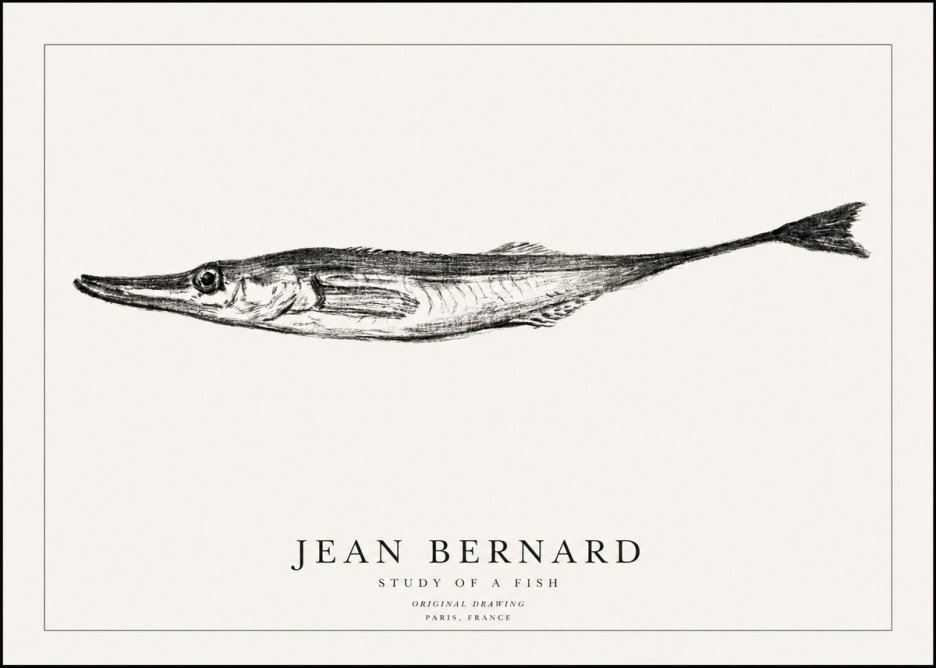 Jean Bernard Study of a Fish I No1 - Póster