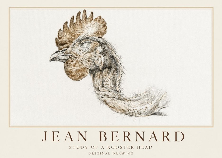 Jean Bernard Study of a Rooster Head No1 - Póster