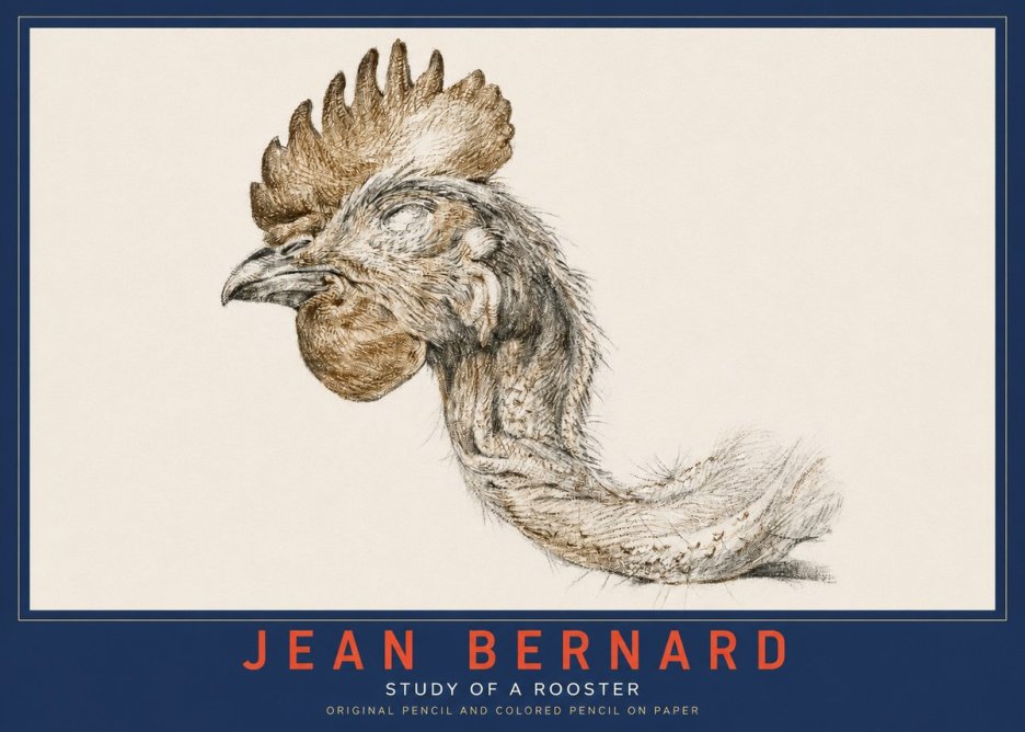 Jean Bernard Study of a Rooster Head No3 - Póster