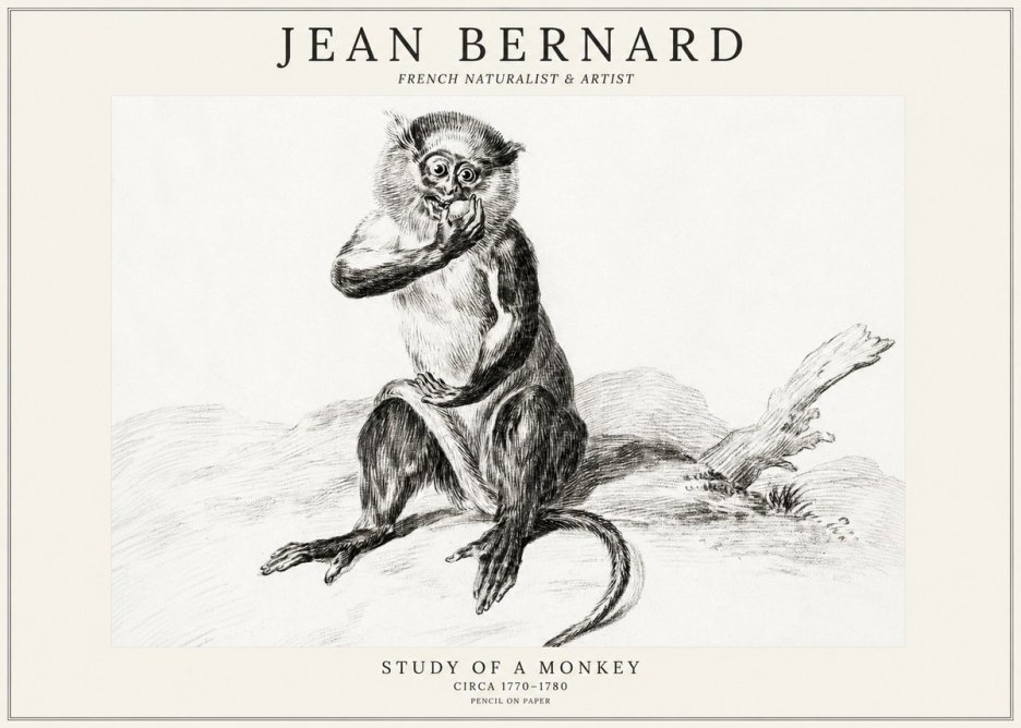 Jean Bernard Study of a Monkey No3 - Póster