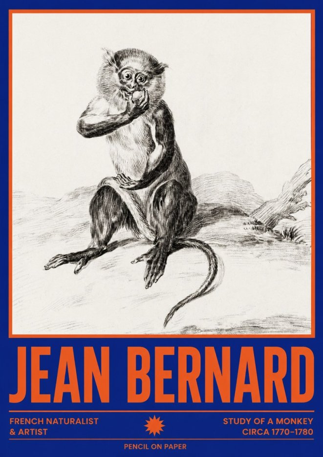 Jean Bernard Study of a Monkey No4 - Póster
