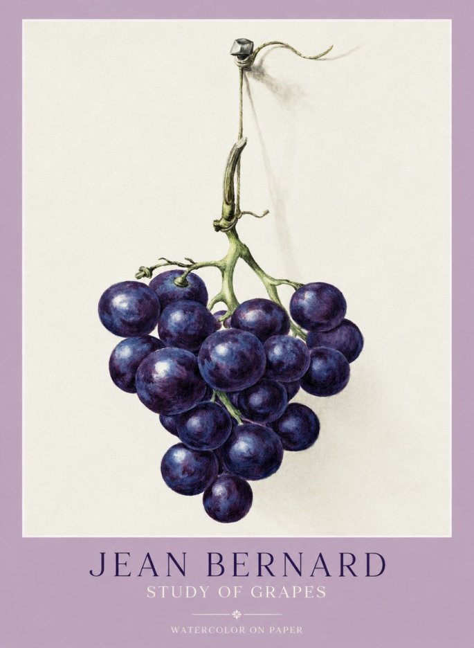 Jean Bernard Grapes No2 - Póster