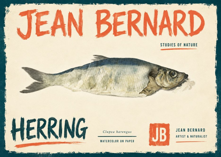 Jean Bernard Herring No6 - Póster