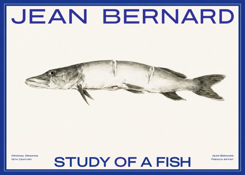 Jean Bernard Study of a Fish II No2 - Póster