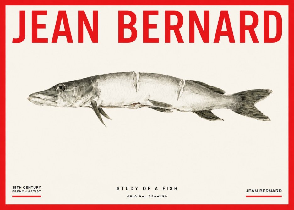 Jean Bernard Study of a Fish II No3 - Póster