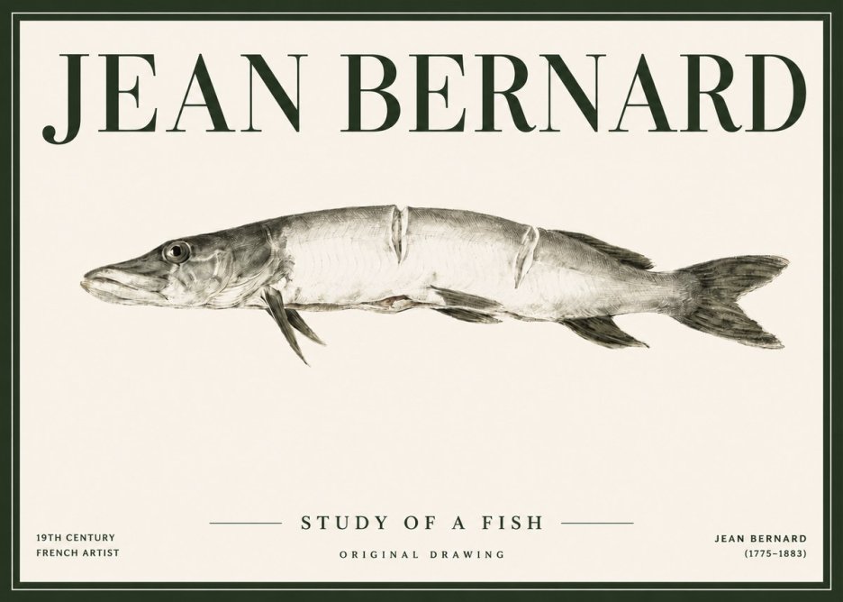 Jean Bernard Study of a Fish II No4 - Póster