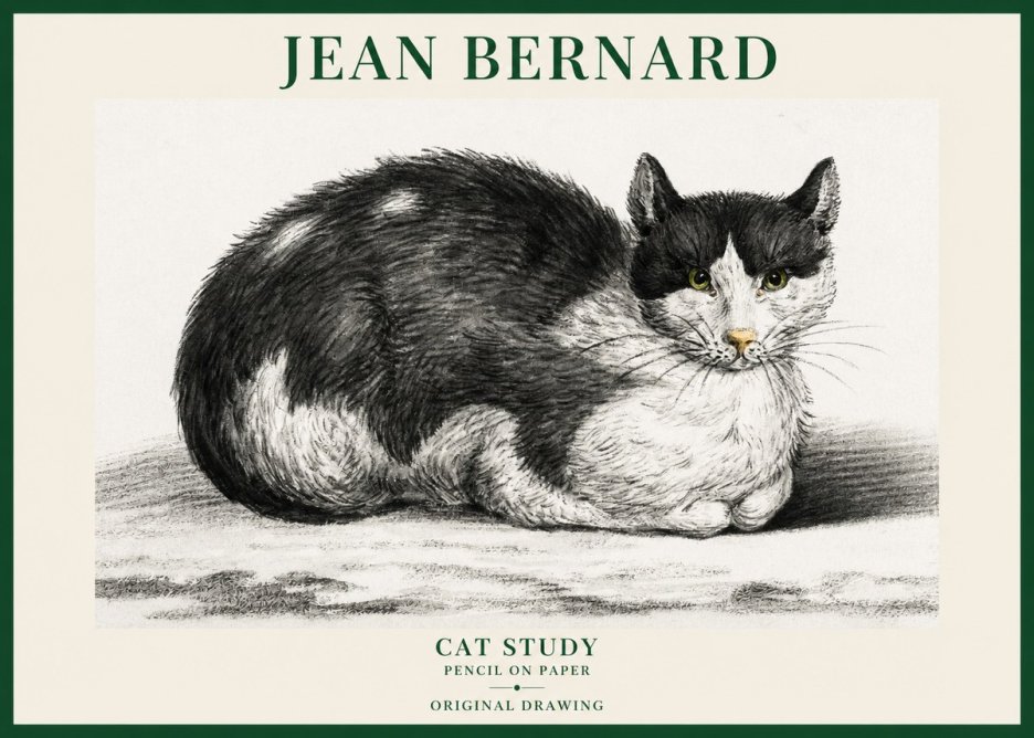 Jean Bernard Cat Study II No6 - Póster