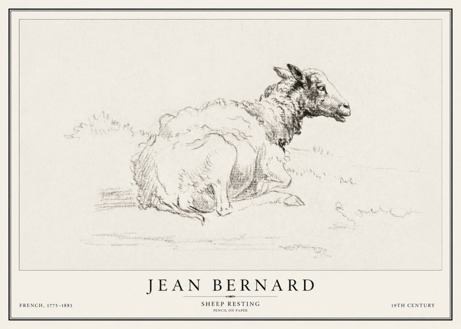 Jean Bernard Sheep Resting No1 - Póster