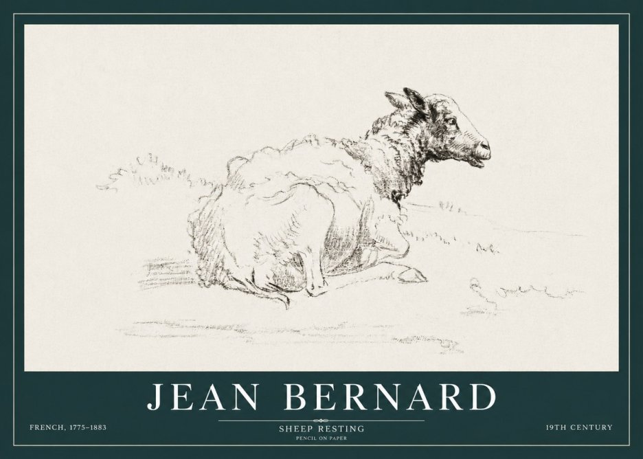 Jean Bernard Sheep Resting No3 - Póster