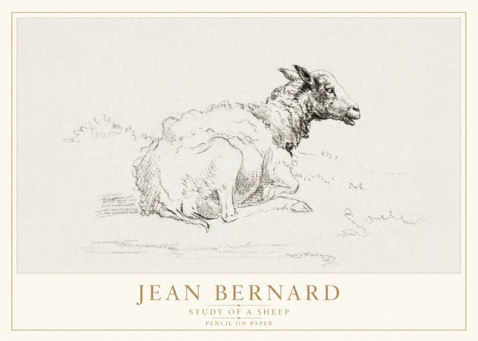 Jean Bernard Sheep Resting No4 - Póster