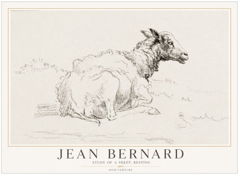 Jean Bernard Sheep Resting No5 - Póster