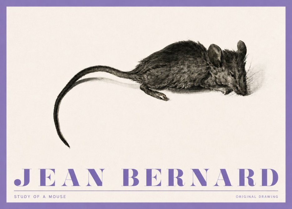 Jean Bernard Study of a Mouse I No4 - Póster