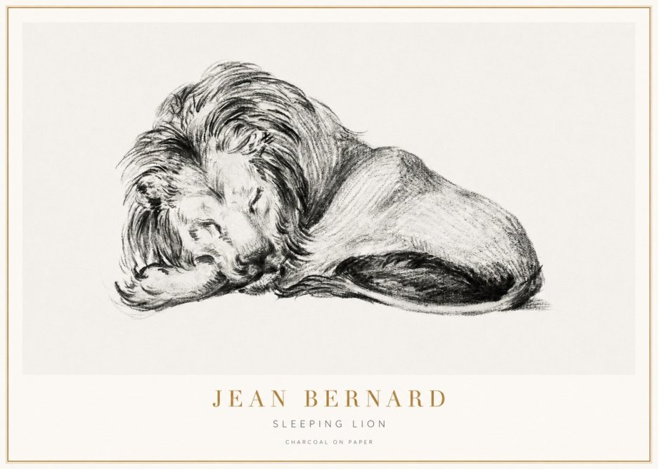Jean Bernard Sleeping Lion No3 - Póster
