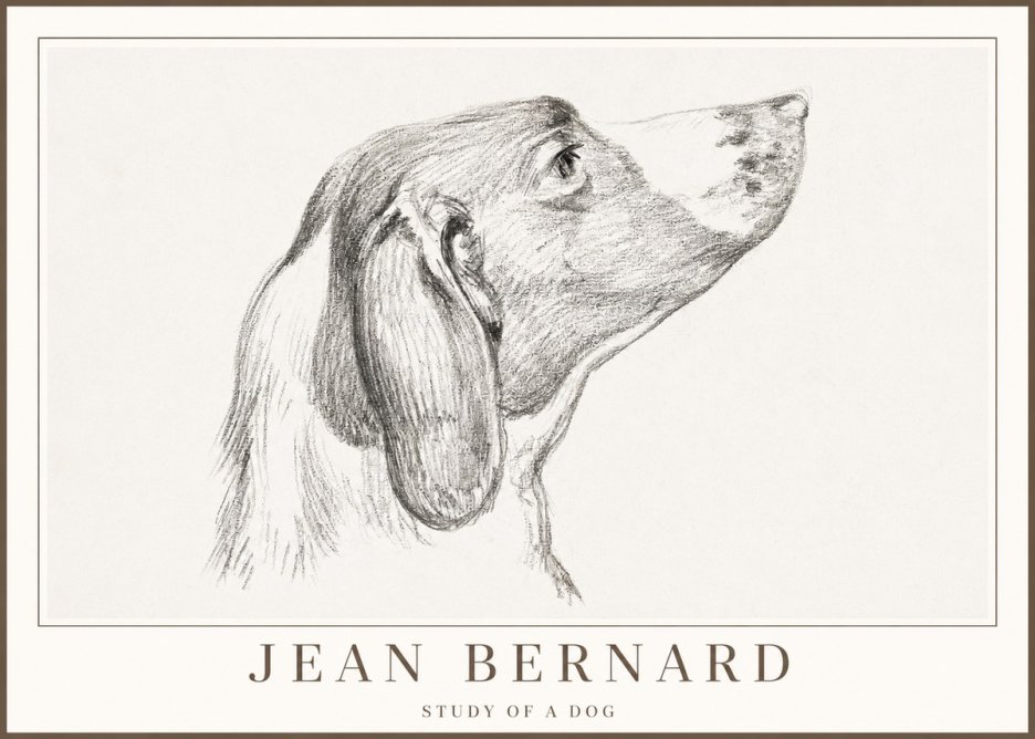 Jean Bernard Study of a Dog I No2 - Póster