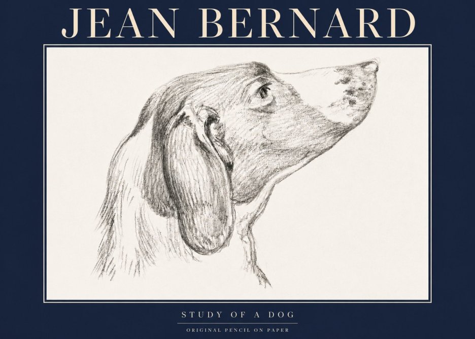 Jean Bernard Study of a Dog I No4 - Póster