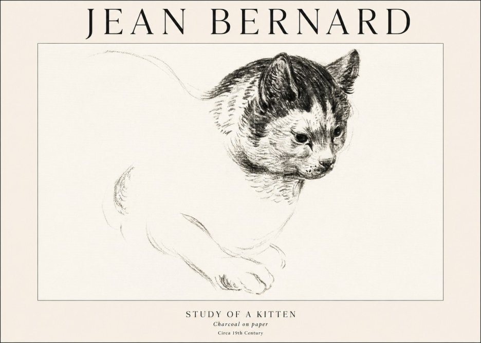 Jean Bernard Study of a Kitten I No1 - Póster