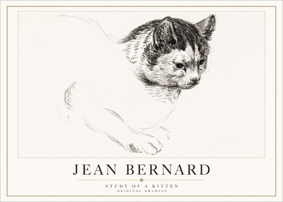 Jean Bernard Study of a Kitten I No5 - Póster