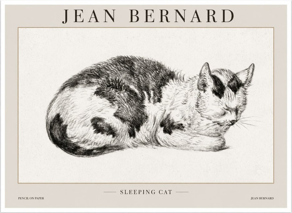 Jean Bernard Sleeping Cat I No1 - Póster