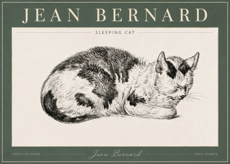 Jean Bernard Sleeping Cat I No4 - Póster