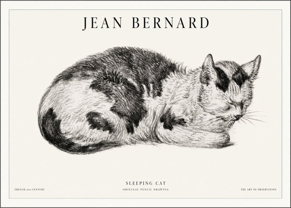 Jean Bernard Sleeping Cat I No5 - Póster