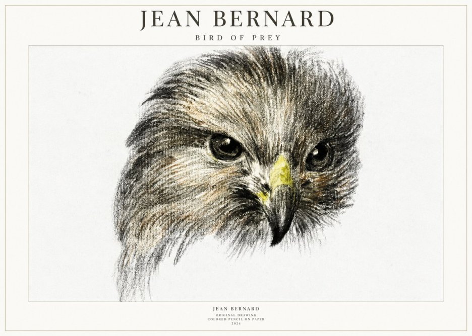 Jean Bernard Bird of Prey No1 - Póster