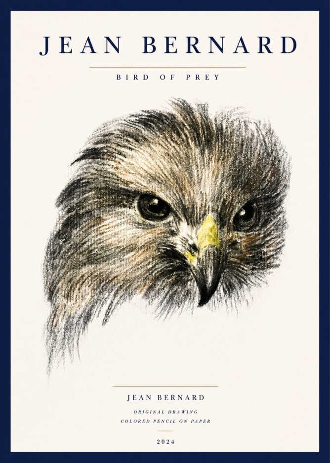 Jean Bernard Bird of Prey No3 - Póster