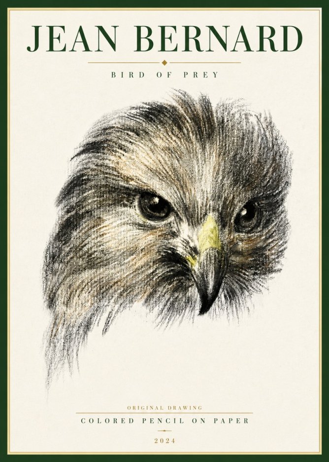 Jean Bernard Bird of Prey No4 - Póster