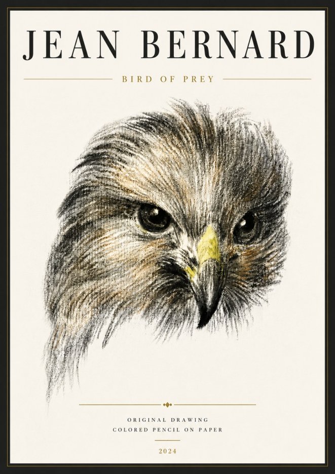 Jean Bernard Bird of Prey No6 - Póster