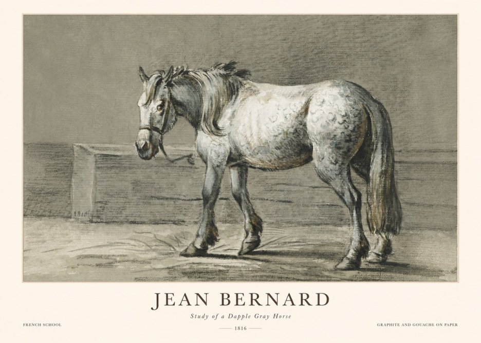 Jean Bernard Study of a Dapple Gray Horse No1 - Póster