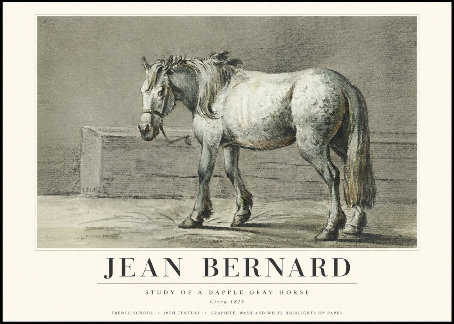 Jean Bernard Study of a Dapple Gray Horse No3 - Póster