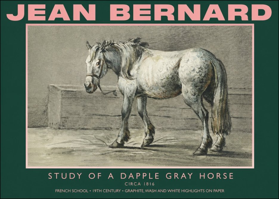 Jean Bernard Study of a Dapple Gray Horse No4 - Póster