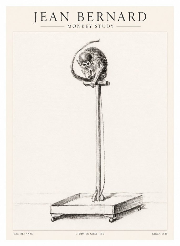 Jean Bernard Monkey Study No1 - Póster