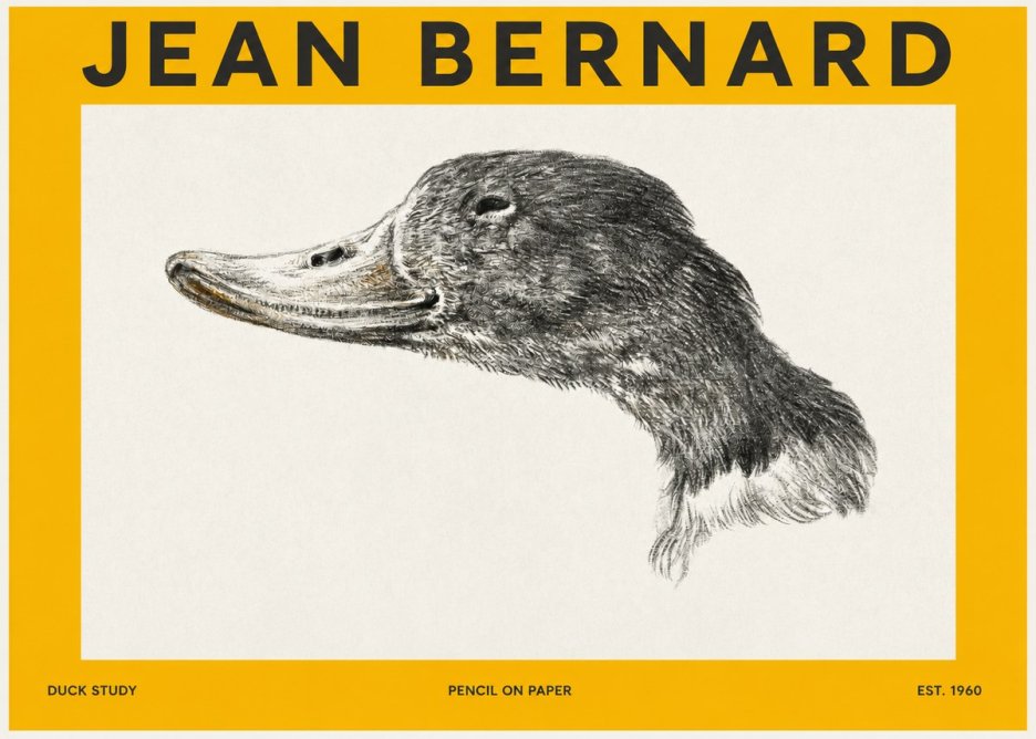 Jean Bernard Study of a Duck No3 - Póster