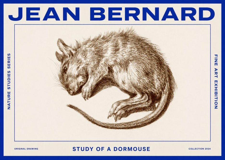 Jean Bernard Study of a Dormouse No2 - Póster